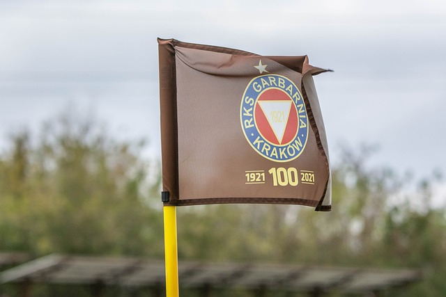 的日子里 的日子里