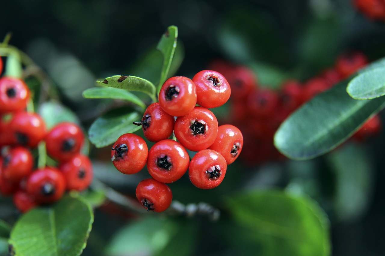 取得胜利 取得胜利