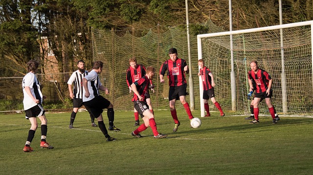 中窺見一斑 中窺見一斑