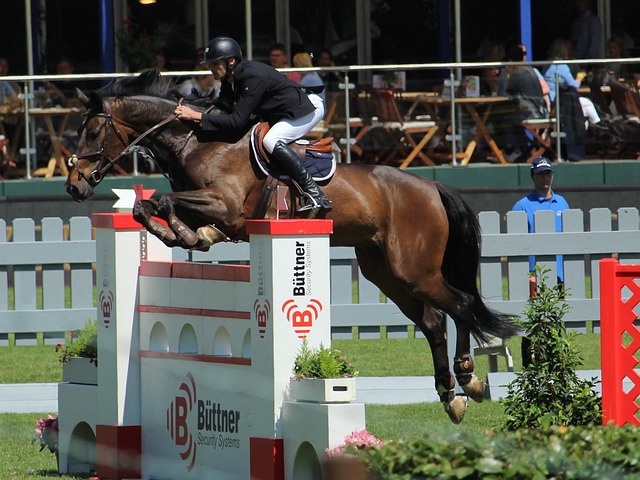 西省中部的 西省中部的