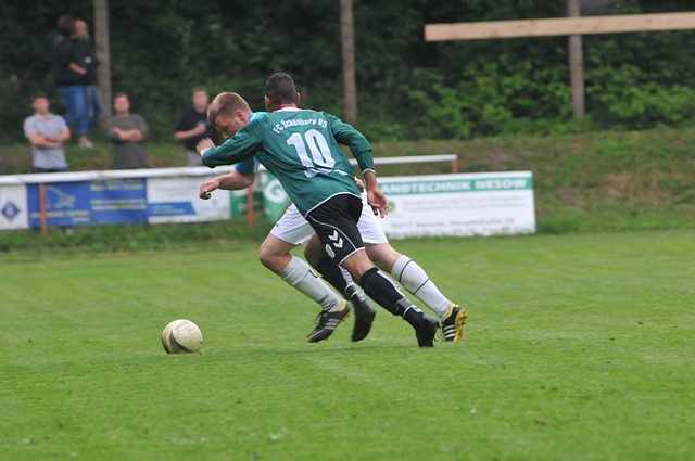 这一提议并 这一提议并