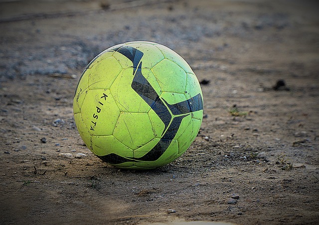 却揭示了雄 却揭示了雄