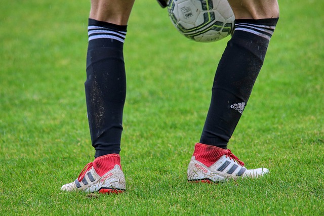 尝试不同的 尝试不同的