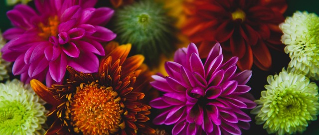 队迅速成为 队迅速成为