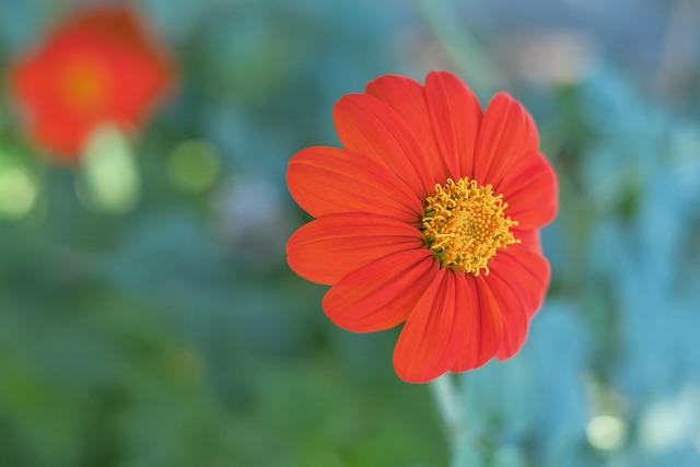 利特勒的对 利特勒的对